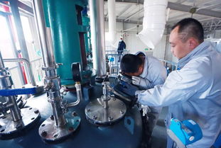 遼寧藥聯(lián) 項(xiàng)目建設(shè)與產(chǎn)品研發(fā)共振，旅游軟件創(chuàng)新驅(qū)動(dòng)企業(yè)快步發(fā)展